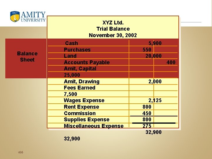 XYZ Ltd. Trial Balance November 30, 2002 Balance Sheet Cash Purchases Land Accounts Payable