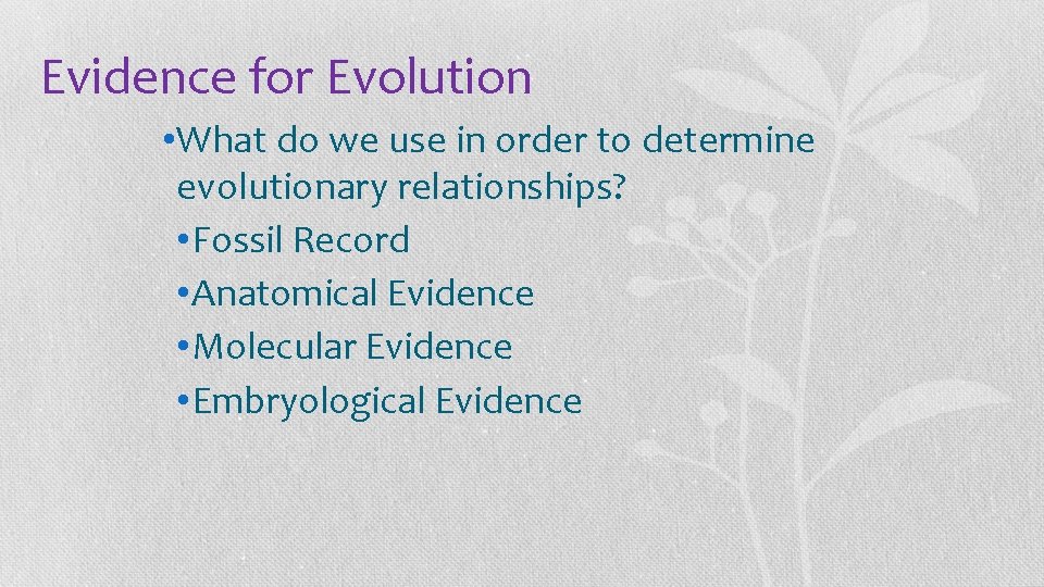 Evidence for Evolution • What do we use in order to determine evolutionary relationships?