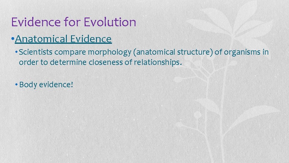 Evidence for Evolution • Anatomical Evidence • Scientists compare morphology (anatomical structure) of organisms