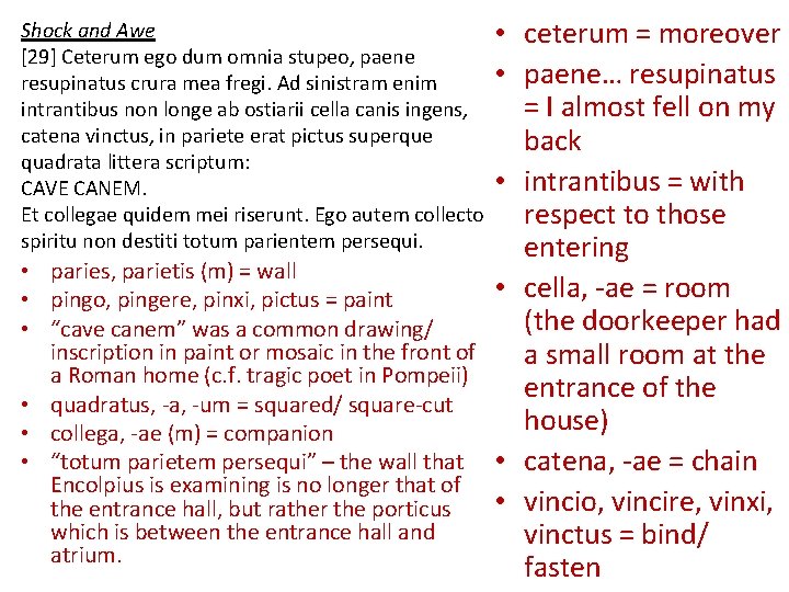 Shock and Awe [29] Ceterum ego dum omnia stupeo, paene resupinatus crura mea fregi.