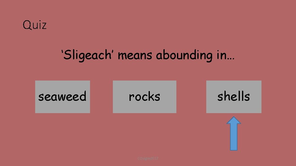 Quiz ‘Sligeach’ means abounding in… seaweed rocks CQuigley 2017 shells 