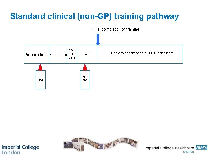 Standard clinical (non-GP) training pathway CCT: completion of training Undergraduate Foundation BSc CMT /