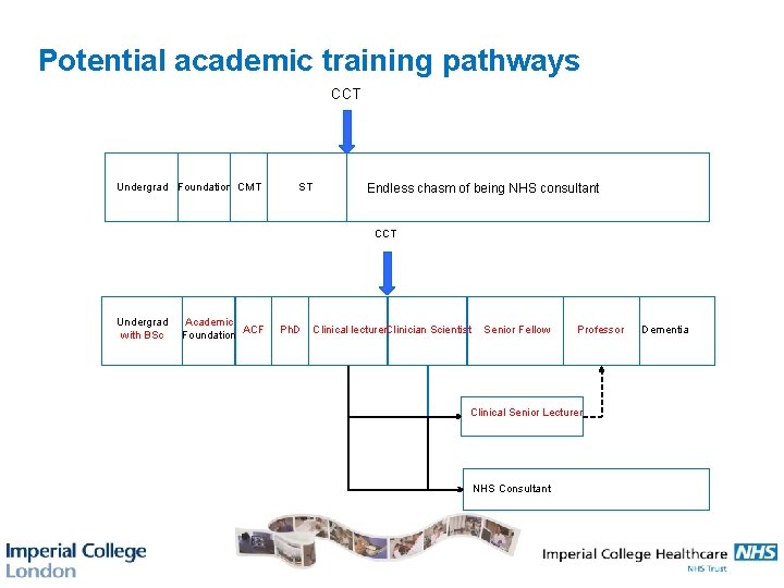 Potential academic training pathways CCT Undergrad Foundation CMT ST Endless chasm of being NHS