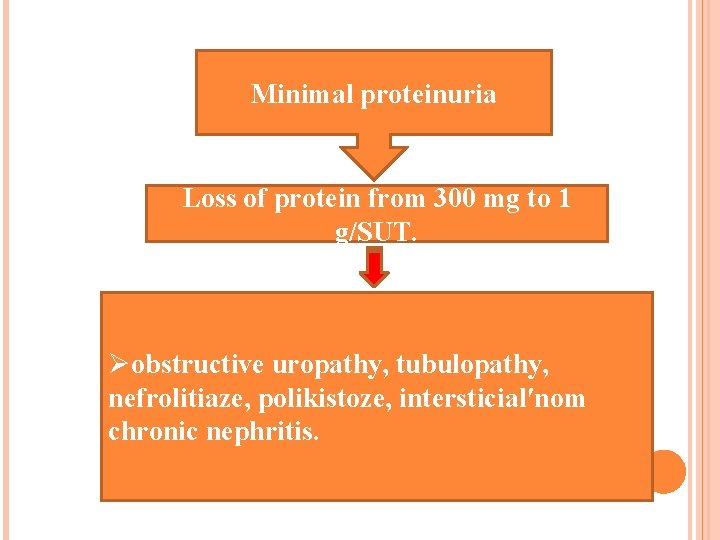 Minimal proteinuria Loss of protein from 300 mg to 1 g/SUT. Øobstructive uropathy, tubulopathy,
