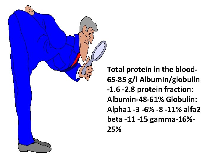 Total protein in the blood 65 -85 g/l Albumin/globulin -1. 6 -2. 8 protein