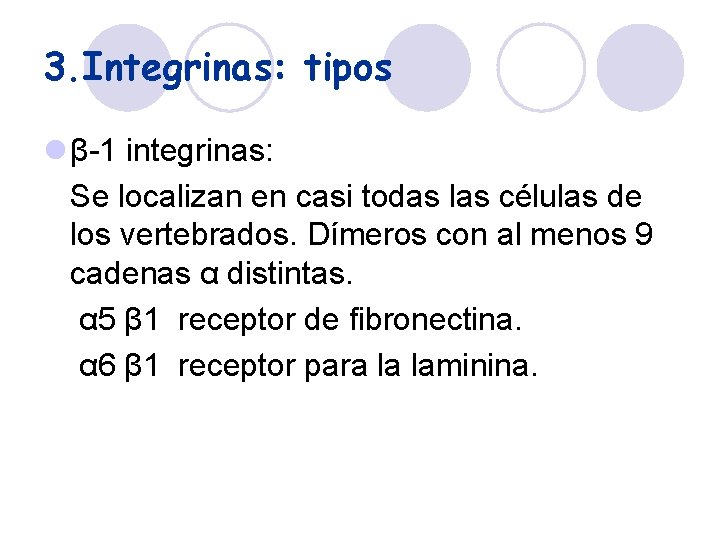 3. Integrinas: tipos l β-1 integrinas: Se localizan en casi todas las células de