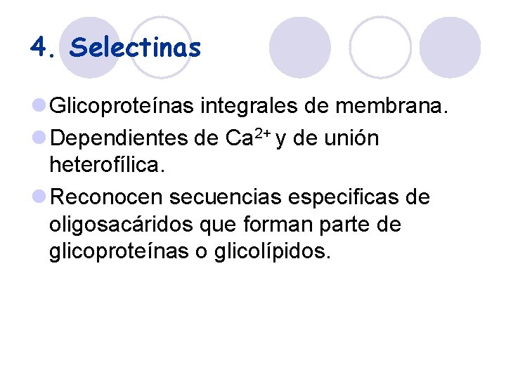 4. Selectinas l Glicoproteínas integrales de membrana. l Dependientes de Ca 2+ y de