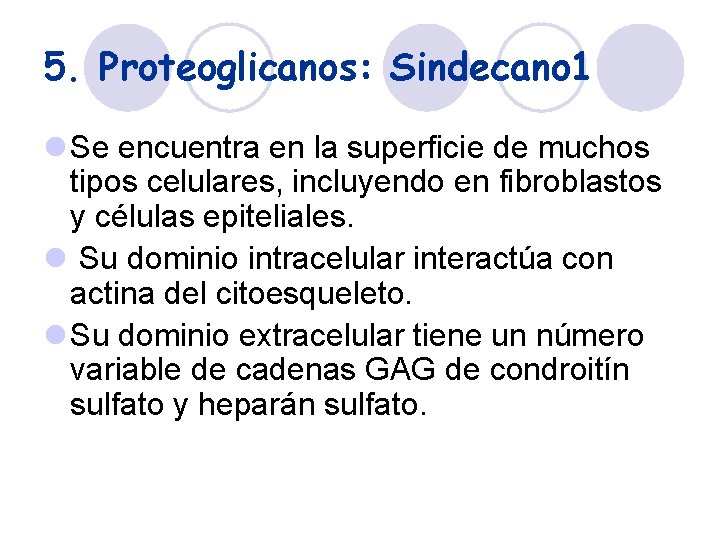 5. Proteoglicanos: Sindecano 1 l Se encuentra en la superficie de muchos tipos celulares,