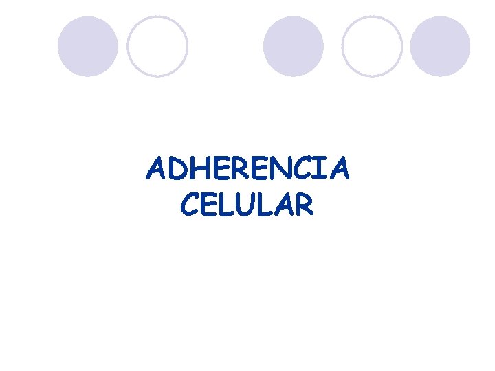ADHERENCIA CELULAR 
