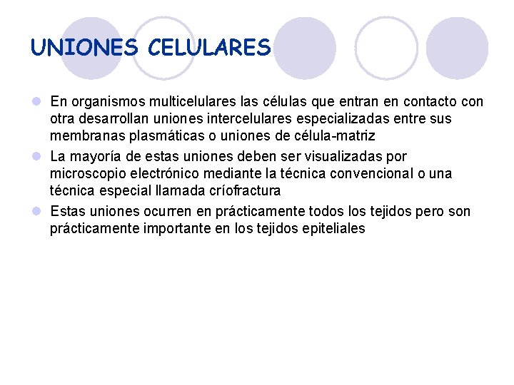 UNIONES CELULARES l En organismos multicelulares las células que entran en contacto con otra