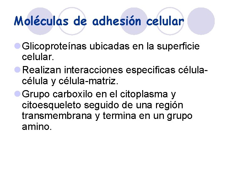 Moléculas de adhesión celular l Glicoproteínas ubicadas en la superficie celular. l Realizan interacciones