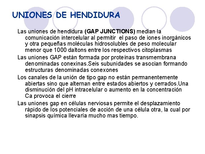 UNIONES DE HENDIDURA Las uniones de hendidura (GAP JUNCTIONS) median la comunicación intercelular al