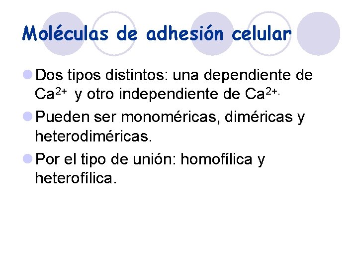 Moléculas de adhesión celular l Dos tipos distintos: una dependiente de Ca 2+ y