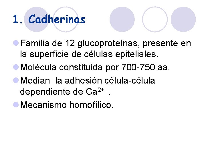 1. Cadherinas l Familia de 12 glucoproteínas, presente en la superficie de células epiteliales.
