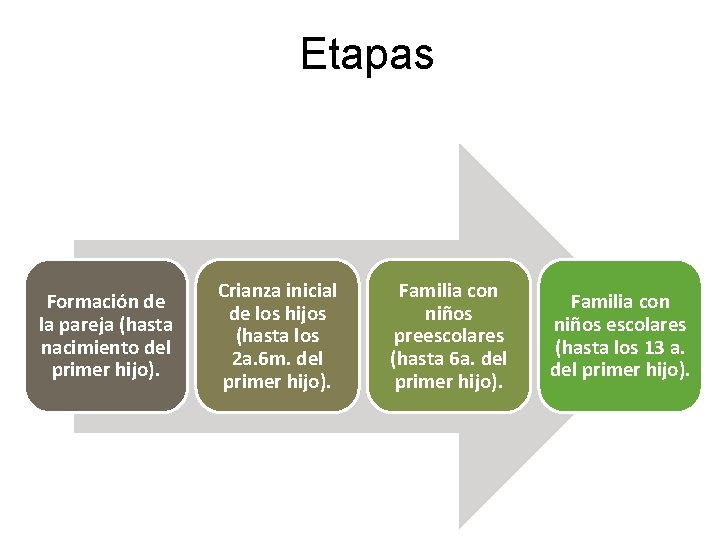 Etapas Formación de la pareja (hasta nacimiento del primer hijo). Crianza inicial de los