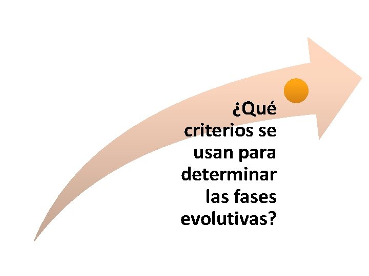 ¿Qué criterios se usan para determinar las fases evolutivas? 
