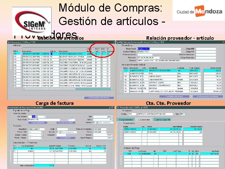 Módulo de Compras: Gestión de artículos Proveedores Gestión de artículos Relación proveedor - artículo