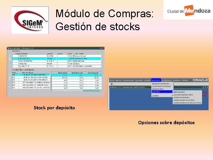 Módulo de Compras: Gestión de stocks Stock por depósito Opciones sobre depósitos 