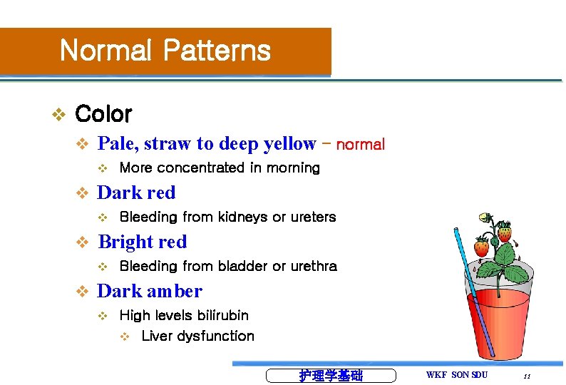 Normal Patterns v Color v Pale, straw to deep yellow – normal v v Normal Patterns v Color v Pale, straw to deep yellow – normal v v