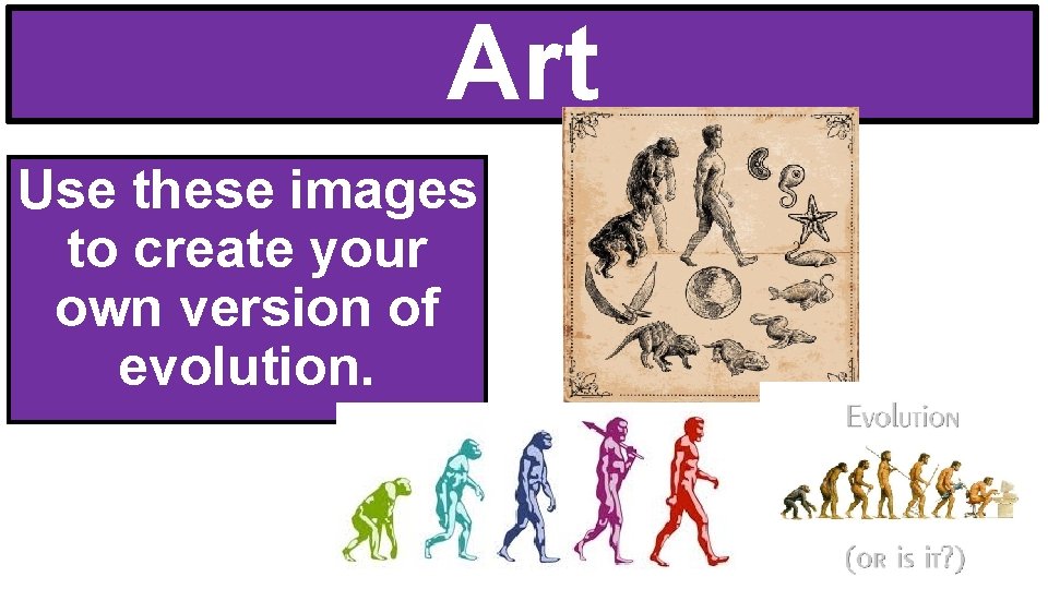 Art Use these images to create your own version of evolution. 