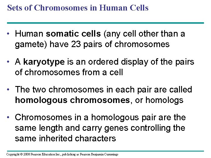 Sets of Chromosomes in Human Cells • Human somatic cells (any cell other than