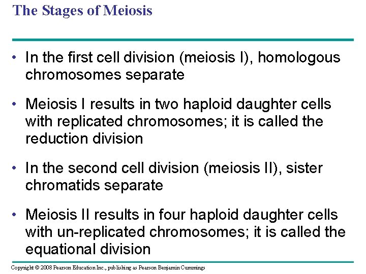 The Stages of Meiosis • In the first cell division (meiosis I), homologous chromosomes