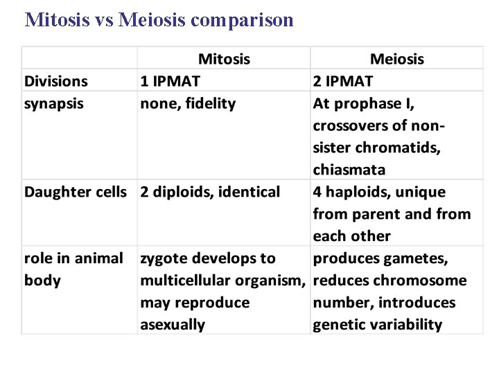 Mitosis vs Meiosis comparison 