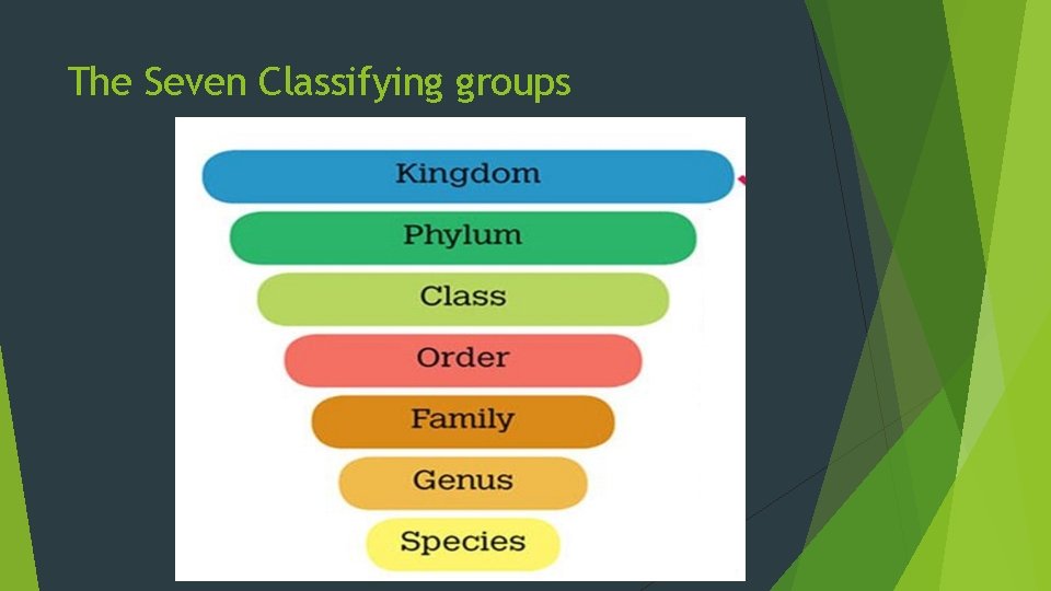 The Seven Classifying groups 