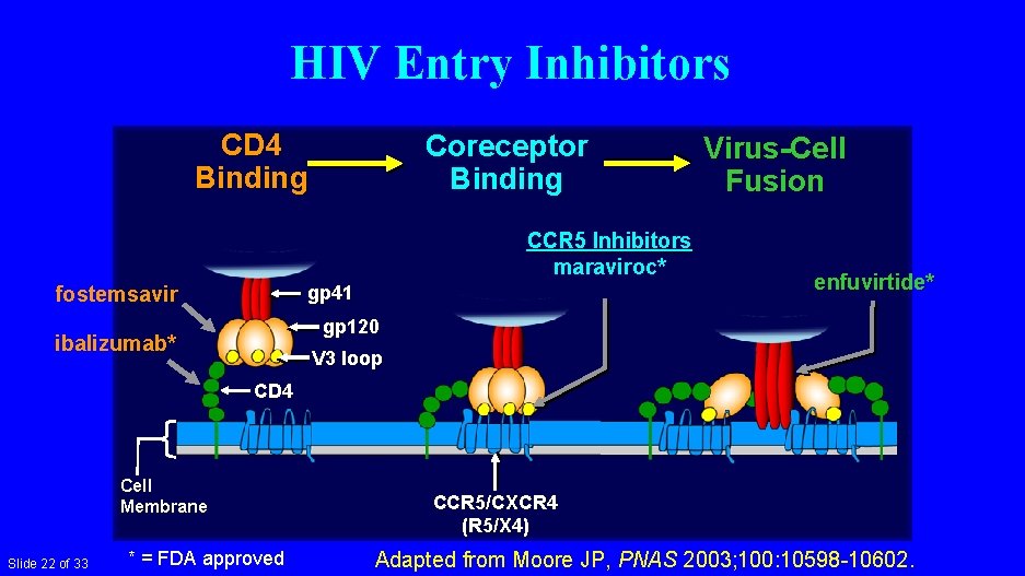 HIV Entry Inhibitors CD 4 Binding Coreceptor Binding CCR 5 Inhibitors maraviroc* fostemsavir gp