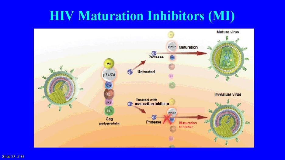 HIV Maturation Inhibitors (MI) maturation inhibitor Slide 27 of 33 