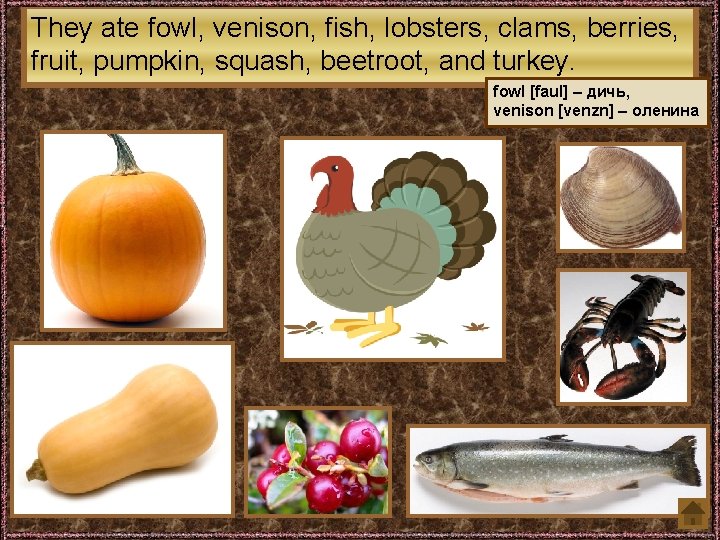 They ate fowl, venison, fish, lobsters, clams, berries, fruit, pumpkin, squash, beetroot, and turkey.