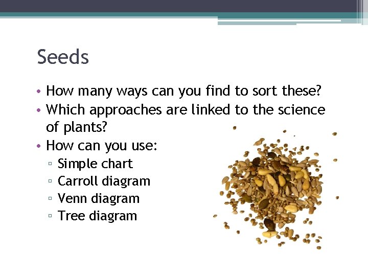 Seeds • How many ways can you find to sort these? • Which approaches