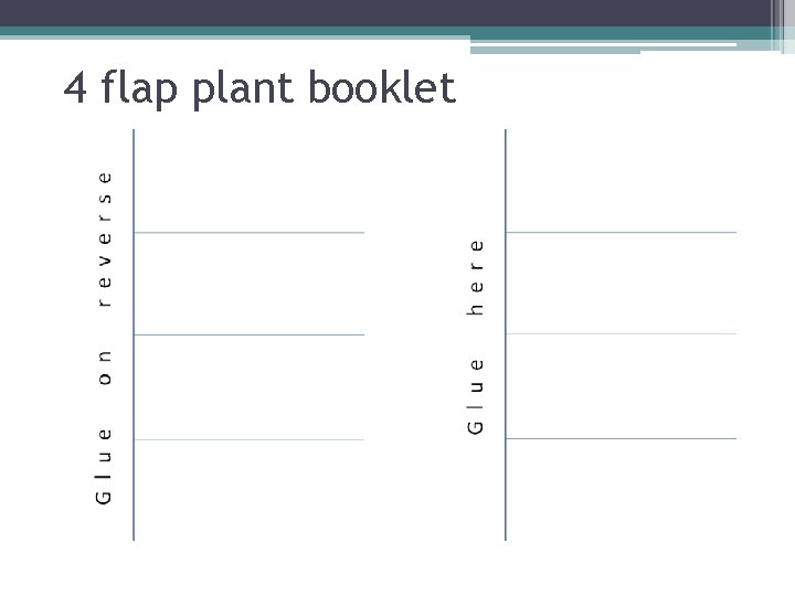 4 flap plant booklet 