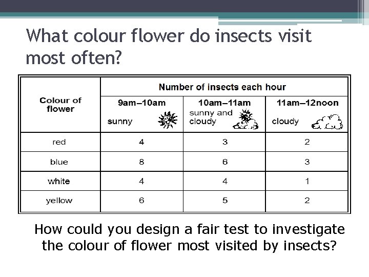 What colour flower do insects visit most often? How could you design a fair