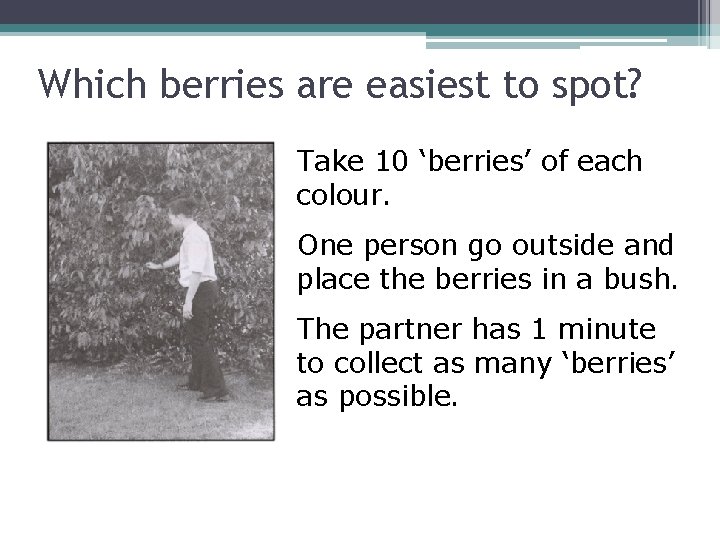 Which berries are easiest to spot? Take 10 ‘berries’ of each colour. One person