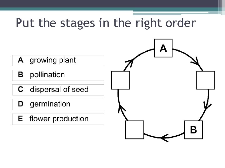 Put the stages in the right order 