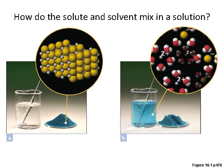 How do the solute and solvent mix in a solution? Figure 16 -1 p