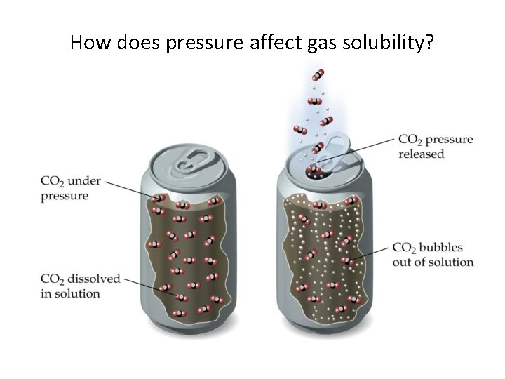 How does pressure affect gas solubility? 