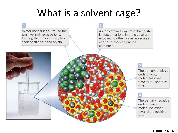 What is a solvent cage? Figure 16 -6 p 479 