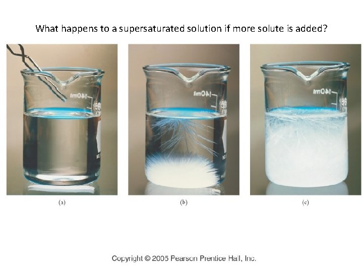 What happens to a supersaturated solution if more solute is added? 