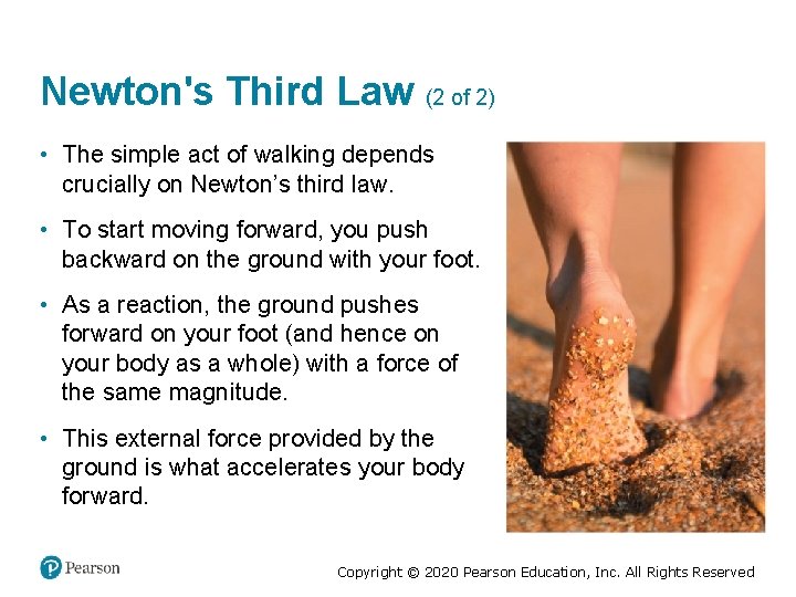 Newton's Third Law (2 of 2) • The simple act of walking depends crucially