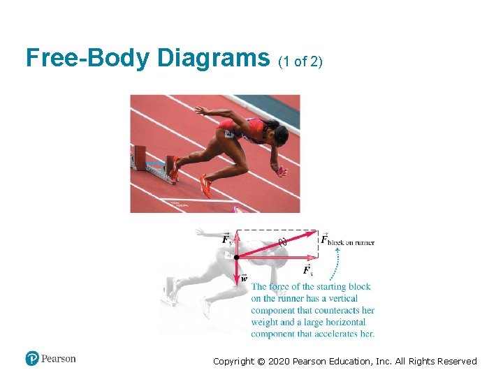 Free-Body Diagrams (1 of 2) Copyright © 2020 Pearson Education, Inc. All Rights Reserved