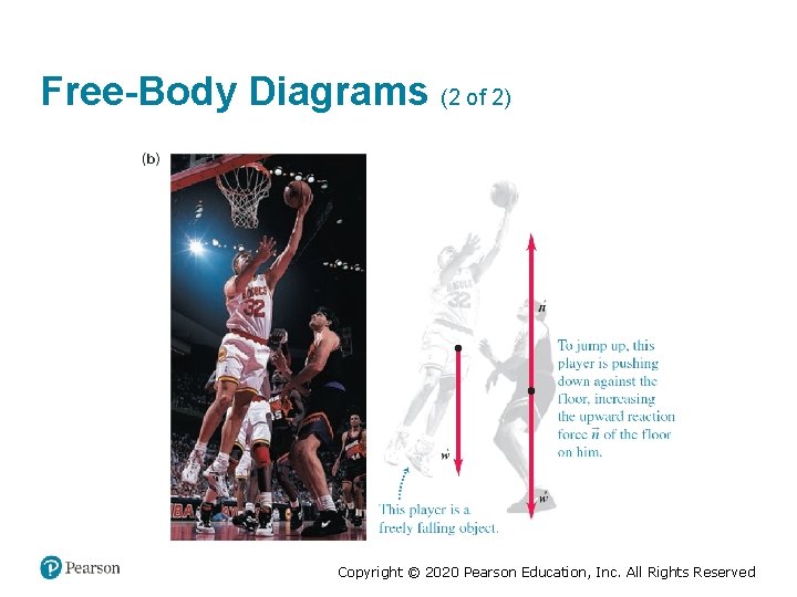 Free-Body Diagrams (2 of 2) Copyright © 2020 Pearson Education, Inc. All Rights Reserved