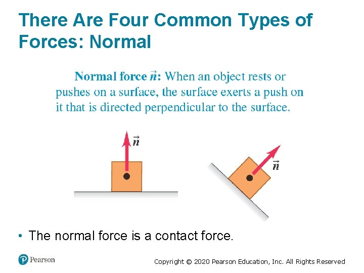 There Are Four Common Types of Forces: Normal • The normal force is a