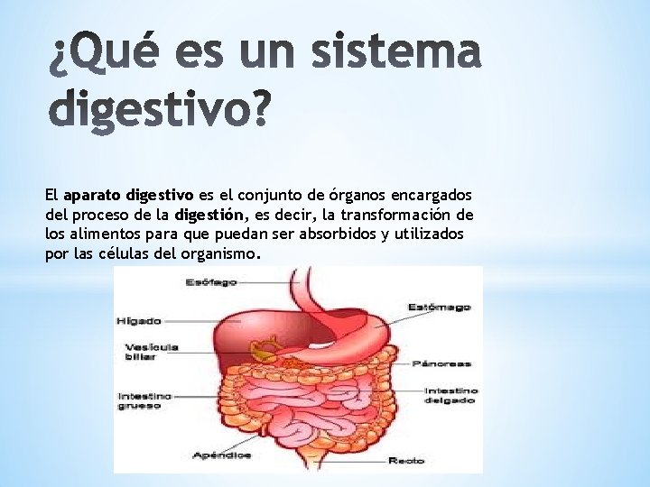 El aparato digestivo es el conjunto de órganos encargados del proceso de la digestión,