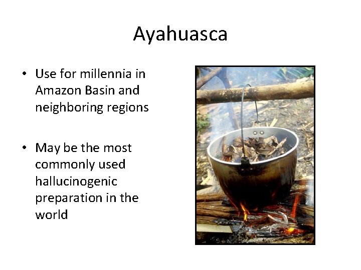 Ayahuasca • Use for millennia in Amazon Basin and neighboring regions • May be