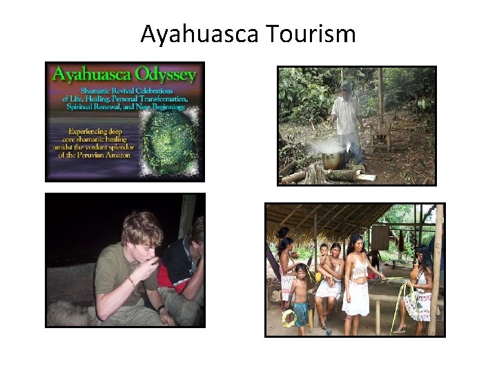 Ayahuasca Tourism 