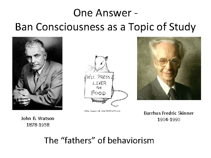 One Answer Ban Consciousness as a Topic of Study John B. Watson 1878 -1958