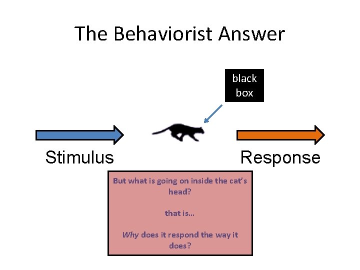 The Behaviorist Answer black box Stimulus Response But what is going on inside the