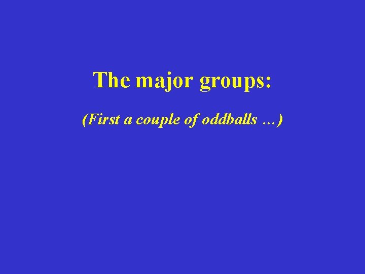 The major groups: (First a couple of oddballs …) 